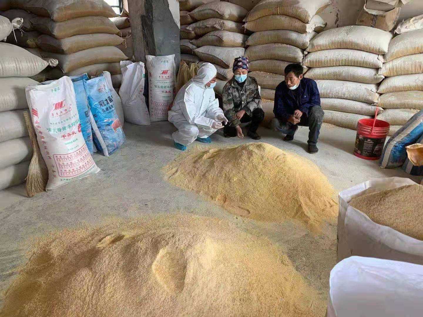 奮進(jìn)紅興隆 | 唱響雁鄉(xiāng)新牧歌——聚焦畜牧業(yè)轉(zhuǎn)型升級(jí)的“八五三探索”與畜牧漁業(yè)飼料銷售