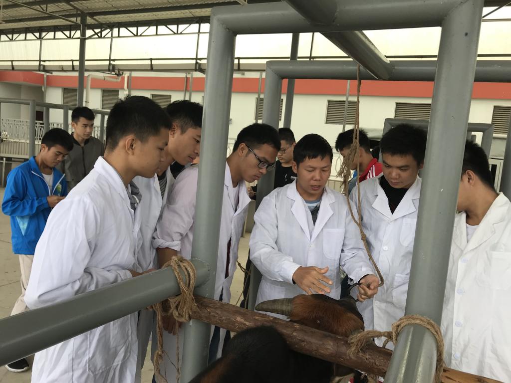 學(xué)畜牧技術(shù)，走致富之路——畜牧漁業(yè)飼料銷售的關(guān)鍵策略