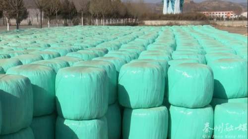 秦州多措并舉保障畜牧養(yǎng)殖場安全越冬 備足飼料、加固圈舍、穩(wěn)供銷售